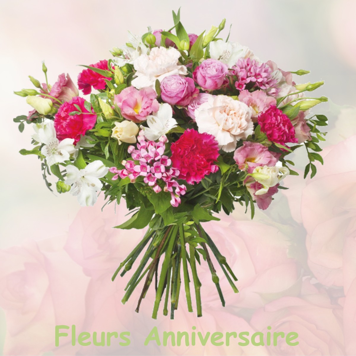 fleurs anniversaire AIRE-SUR-LA-LYS
